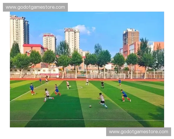 以校园足球联赛促进中小学生全面发展与体育素养提升路径研究